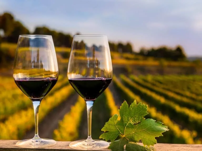 In vino veritas! Истина - в вине!