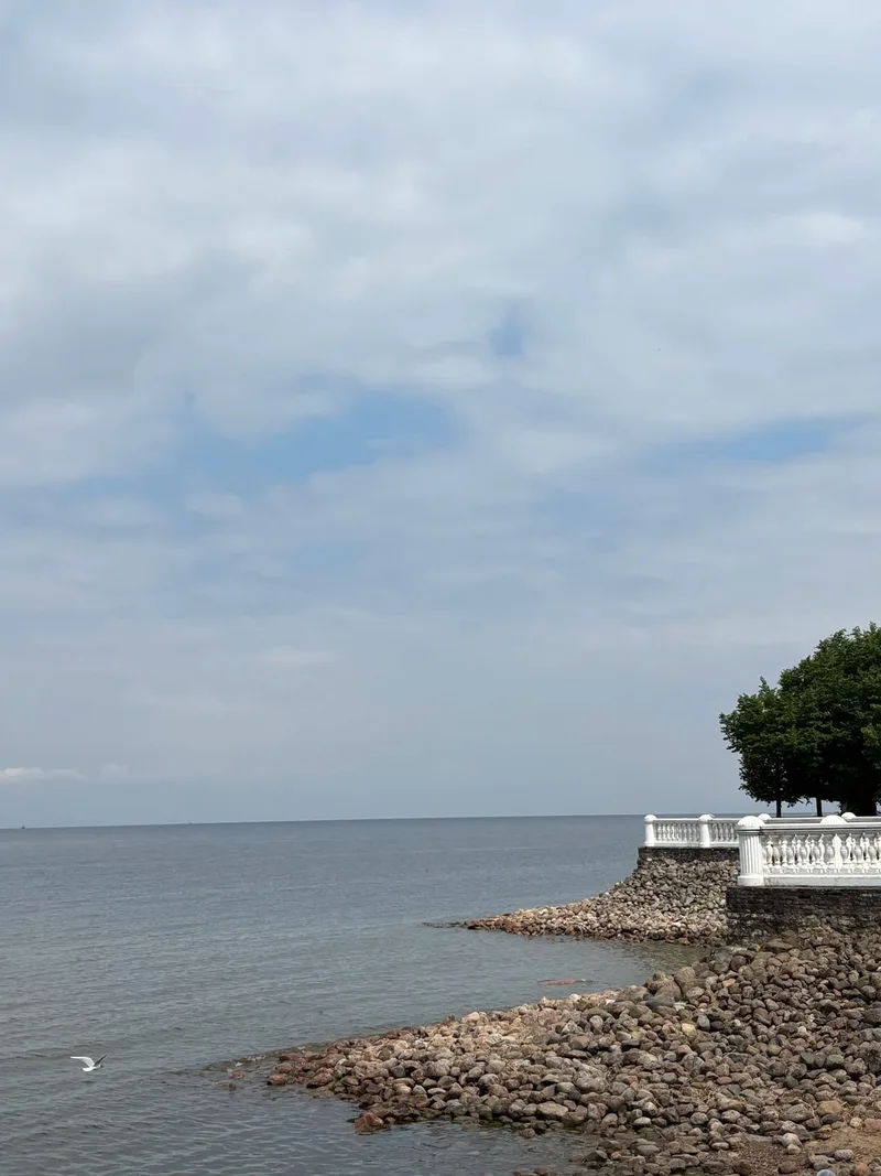 Маргарита