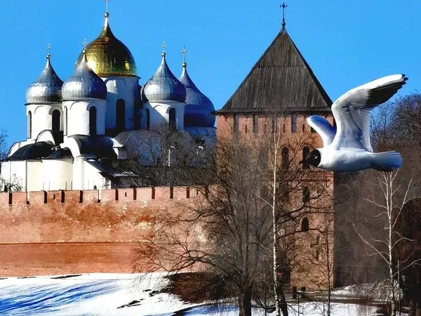 Два центра Великого Новгорода: кремль и Ярославово дворище