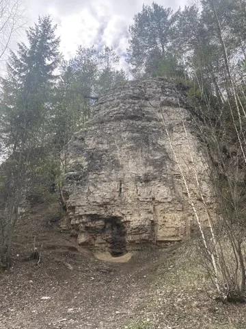 Тихонова