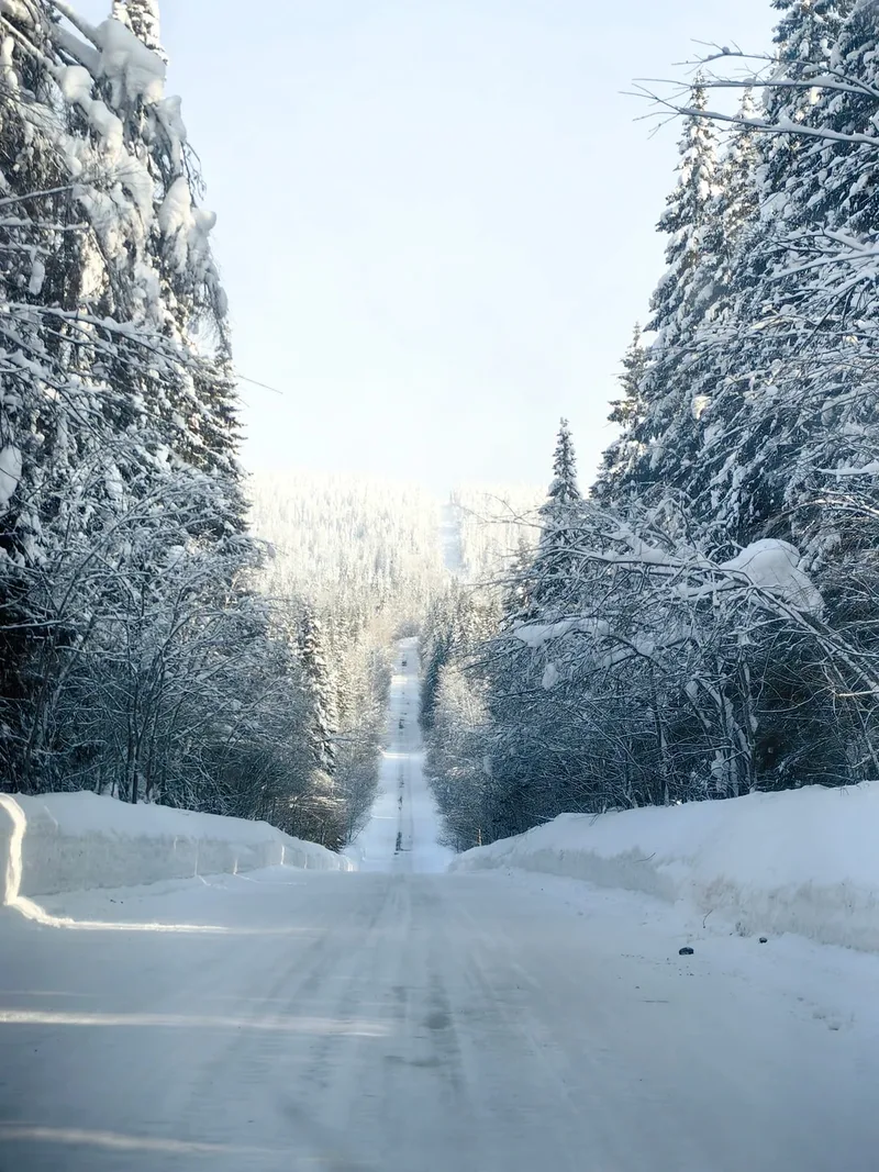 Валентина