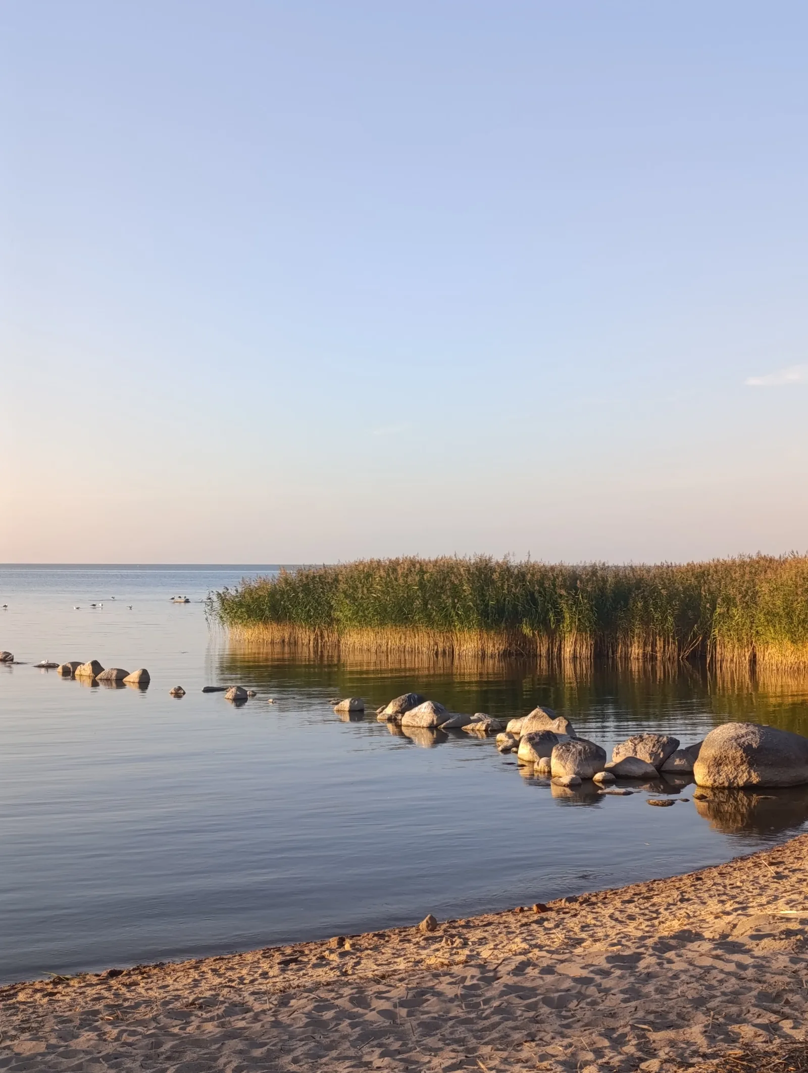Балтийское побережье: Куршская коса, Светлогорск, Зеленоградск