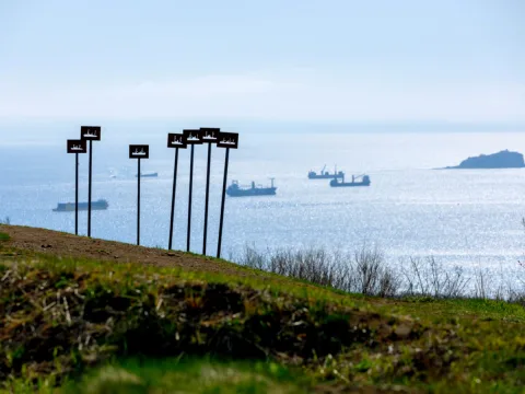 Остров Русский и мореферма: устрицы, мидии и форты за 1 день