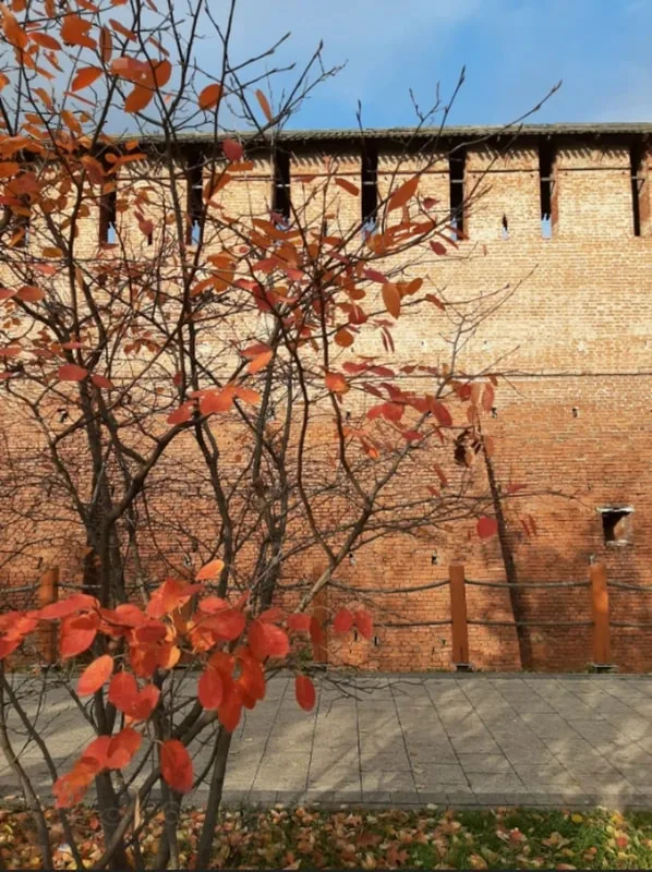 Экопрогулка в центре Коломны для детей и их родителей