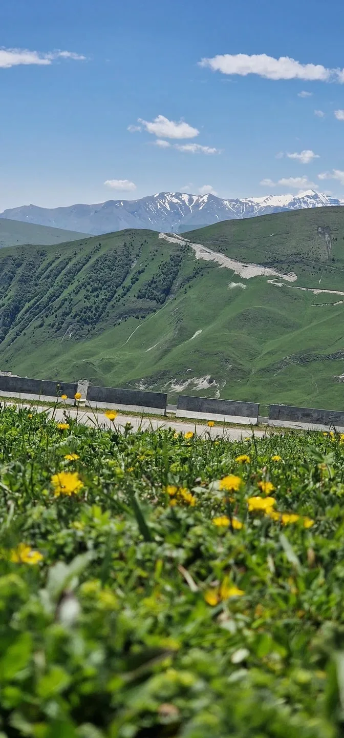 Наталья
