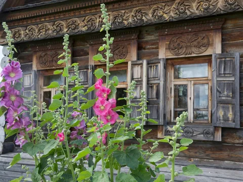 Суздаль заповедный и настоящий