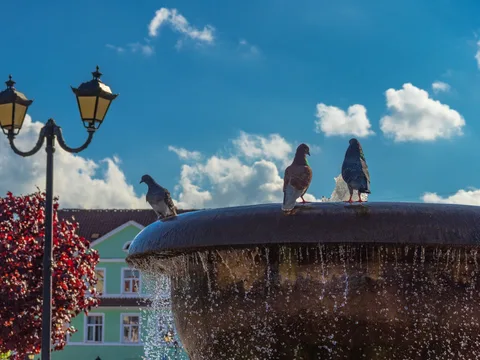 «Жемчужины востока»: Черняховск и Гвардейск (из Светлогорска)