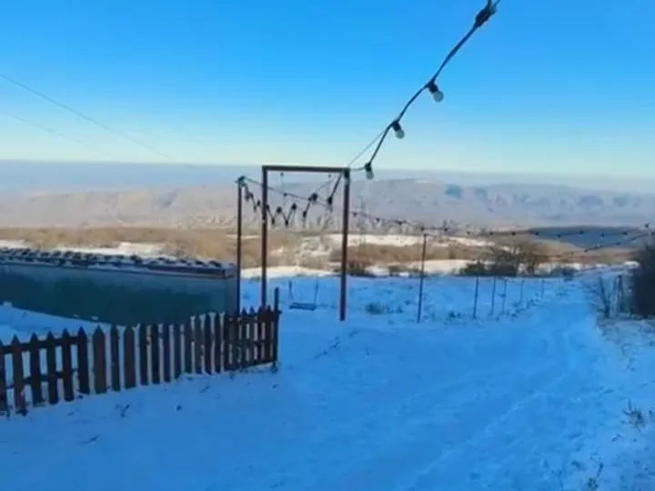 Дубовая роща из Избербаша