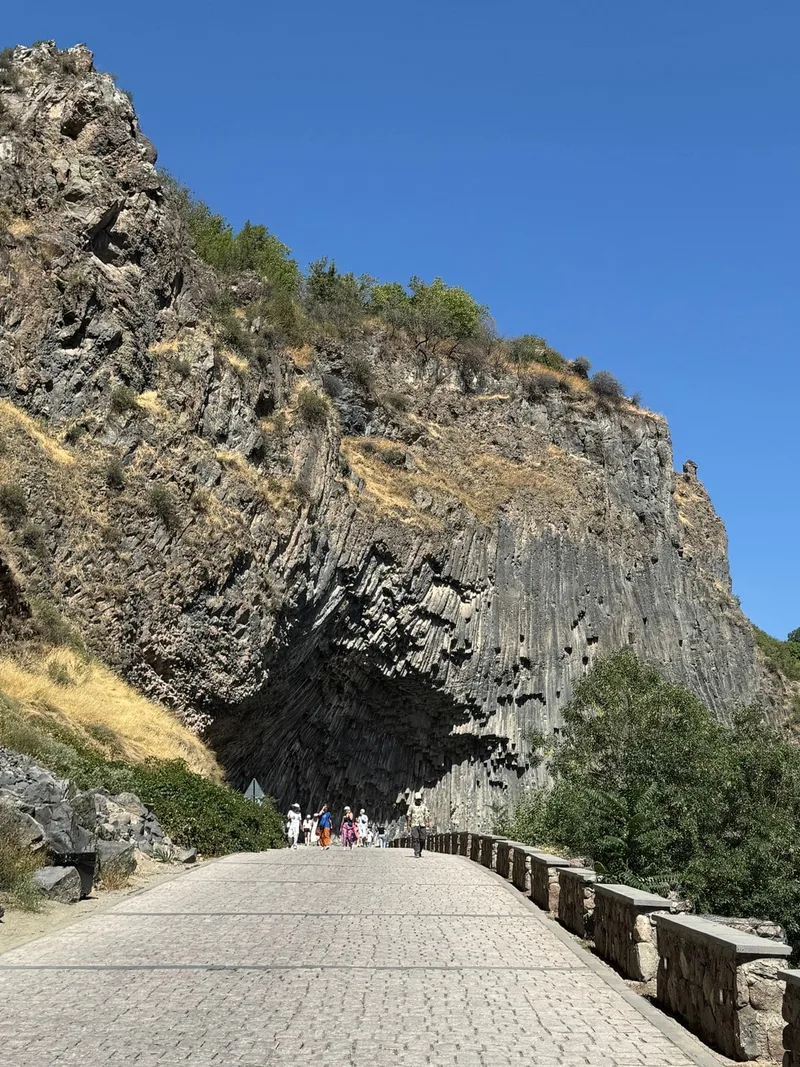 Альбина