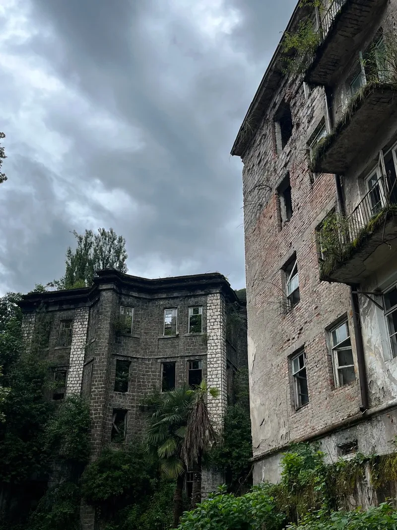 Алена