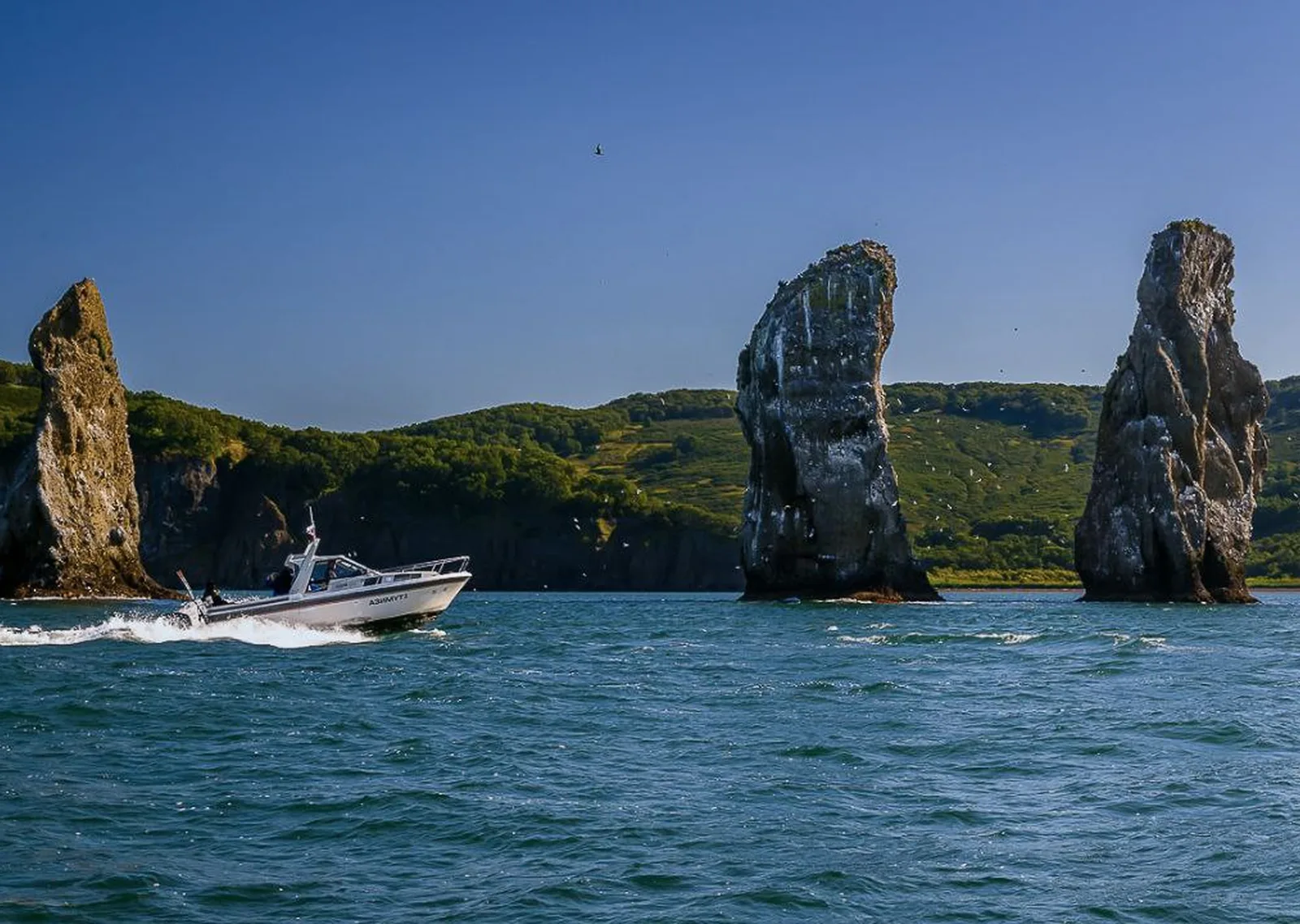 Морская прогулка к острову Старичков: морская рыбалка и крабовое сафари