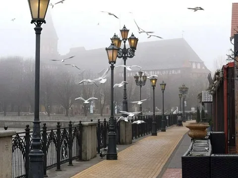 Ваш день в Калининграде или области: экскурсия-конструктор