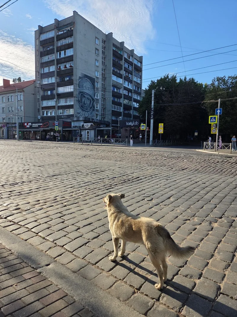 Татьяна