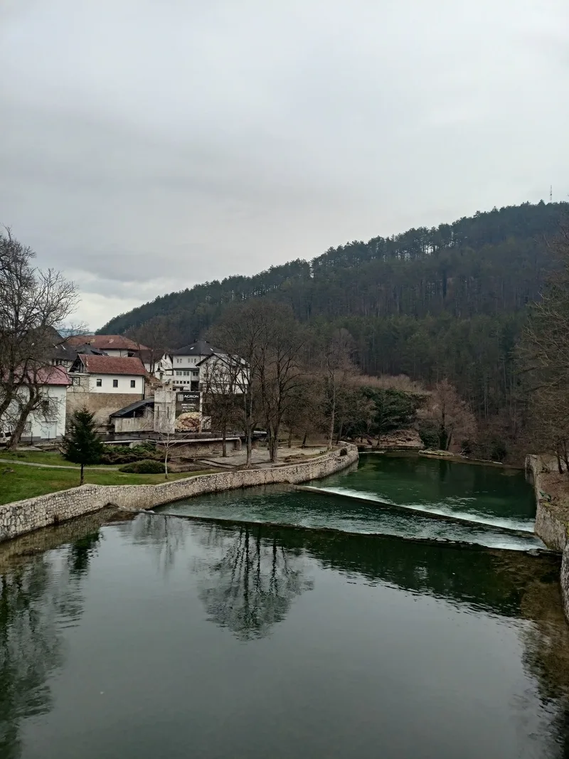 Алена