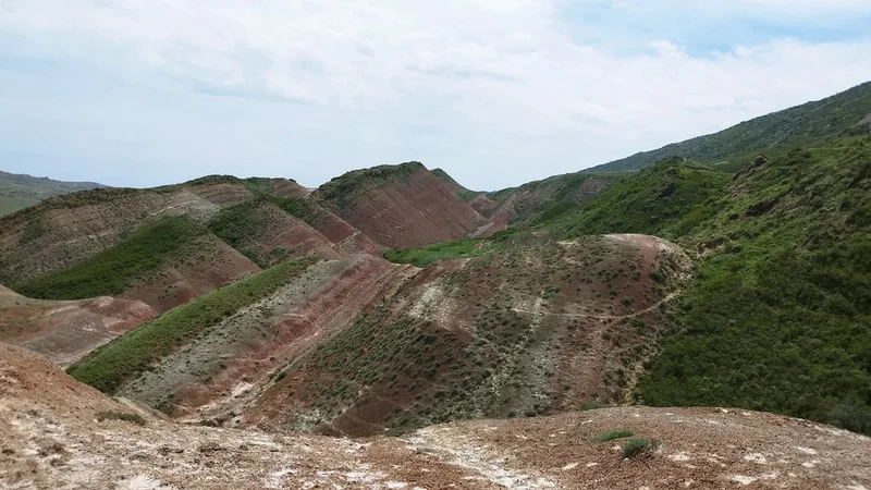 Алёна