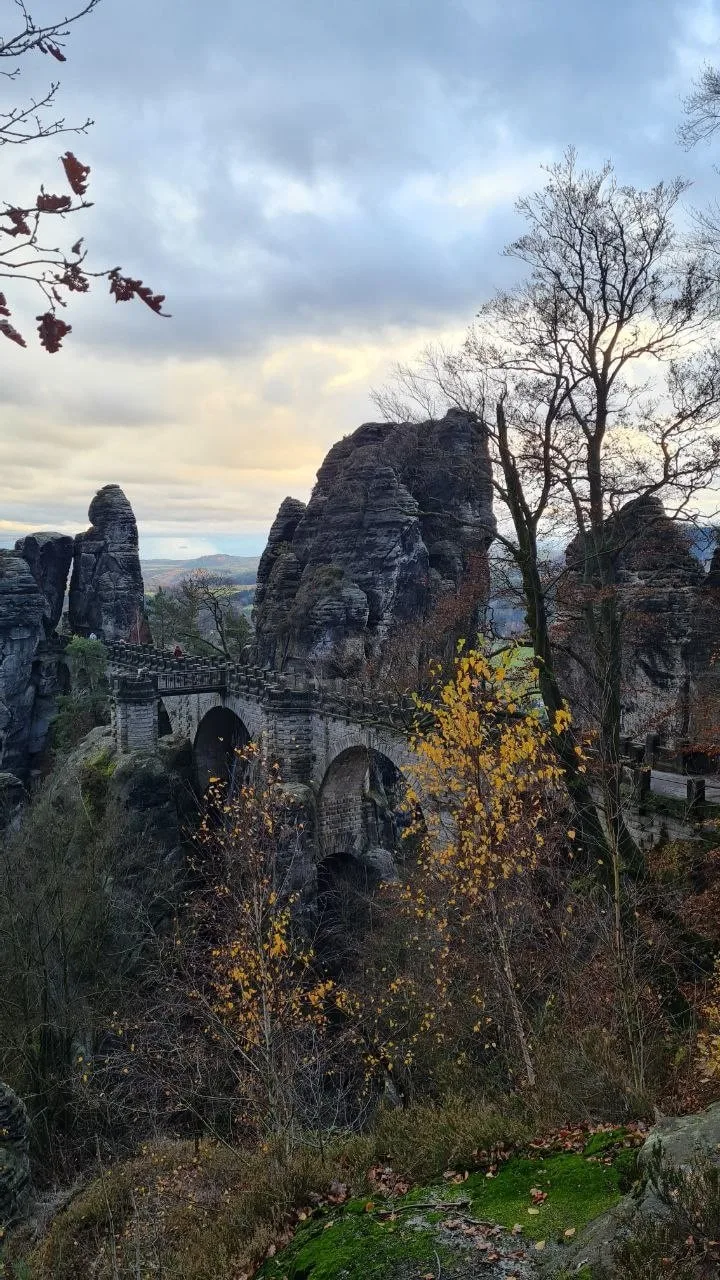 Лиза