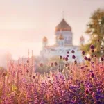 Дмитрий