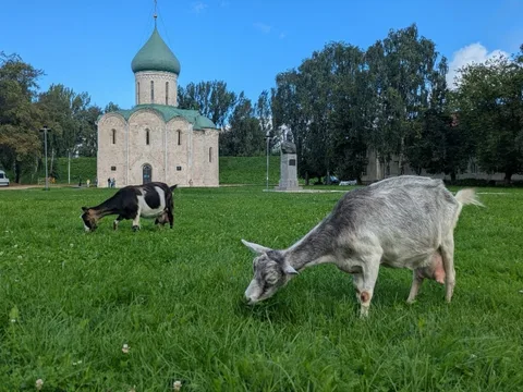 Первый раз в Переславле-Залесском: экспресс-знакомство с городом
