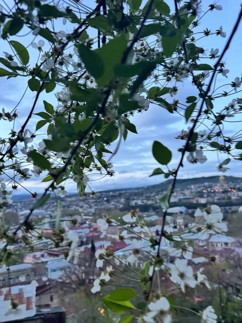 Лилия