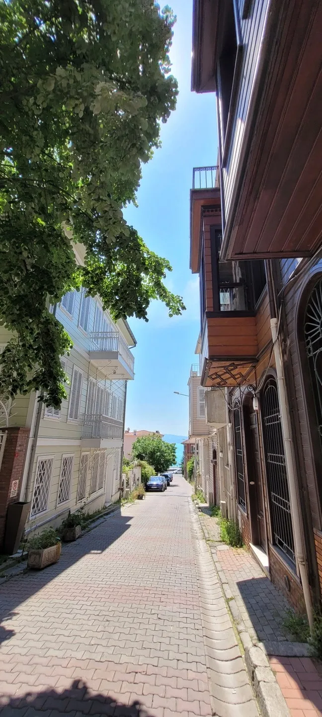 Дмитрий