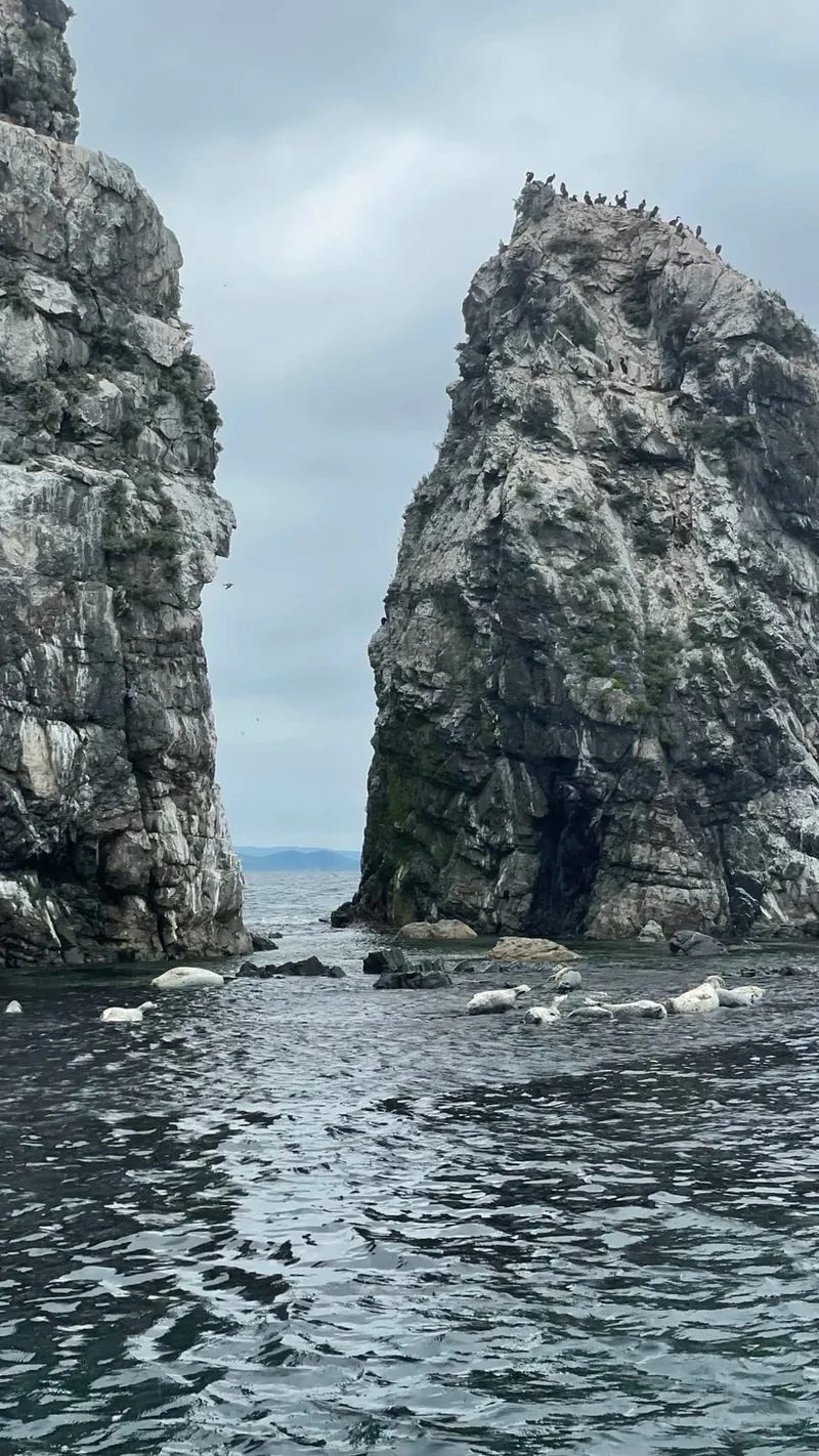 Северина