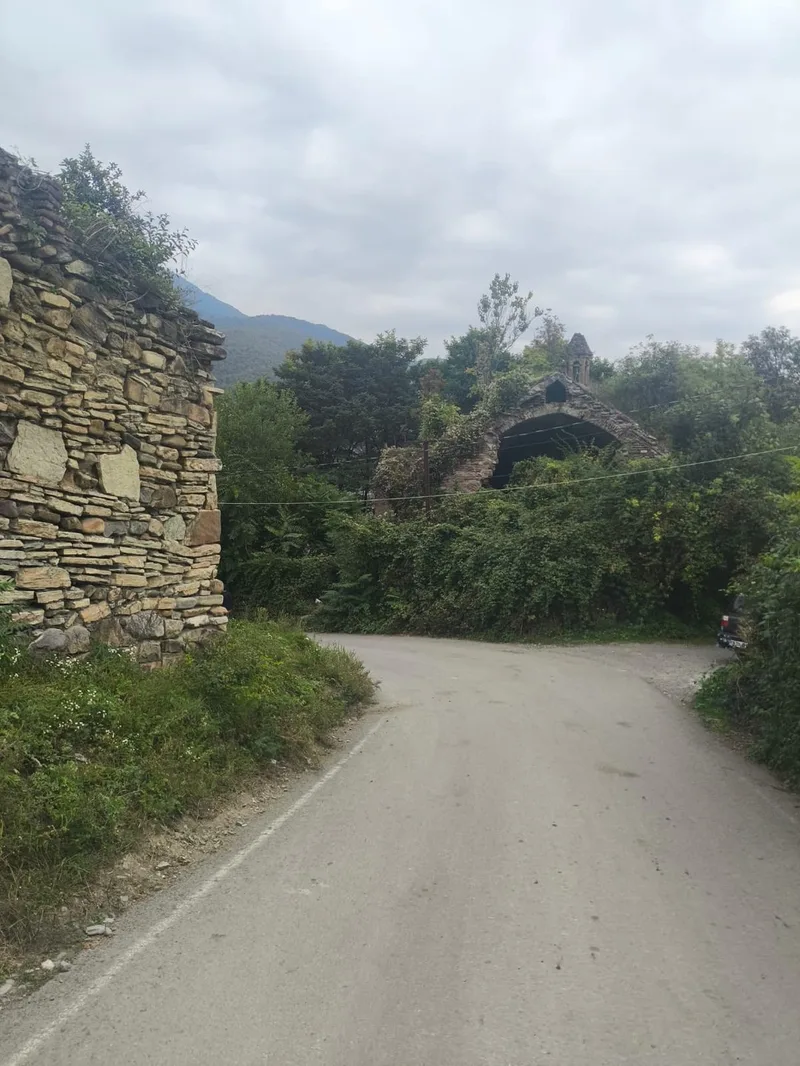 Лариса