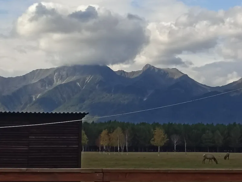 Светлана