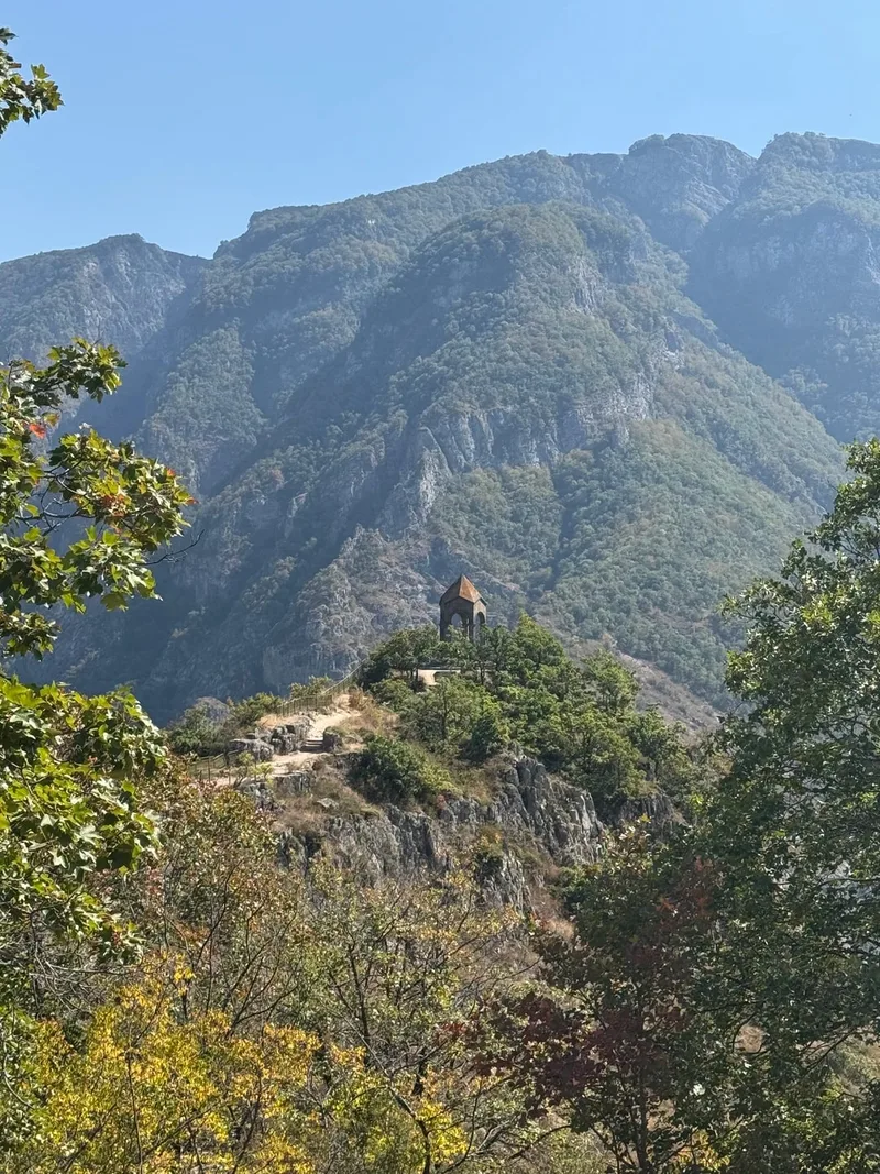 Альбина