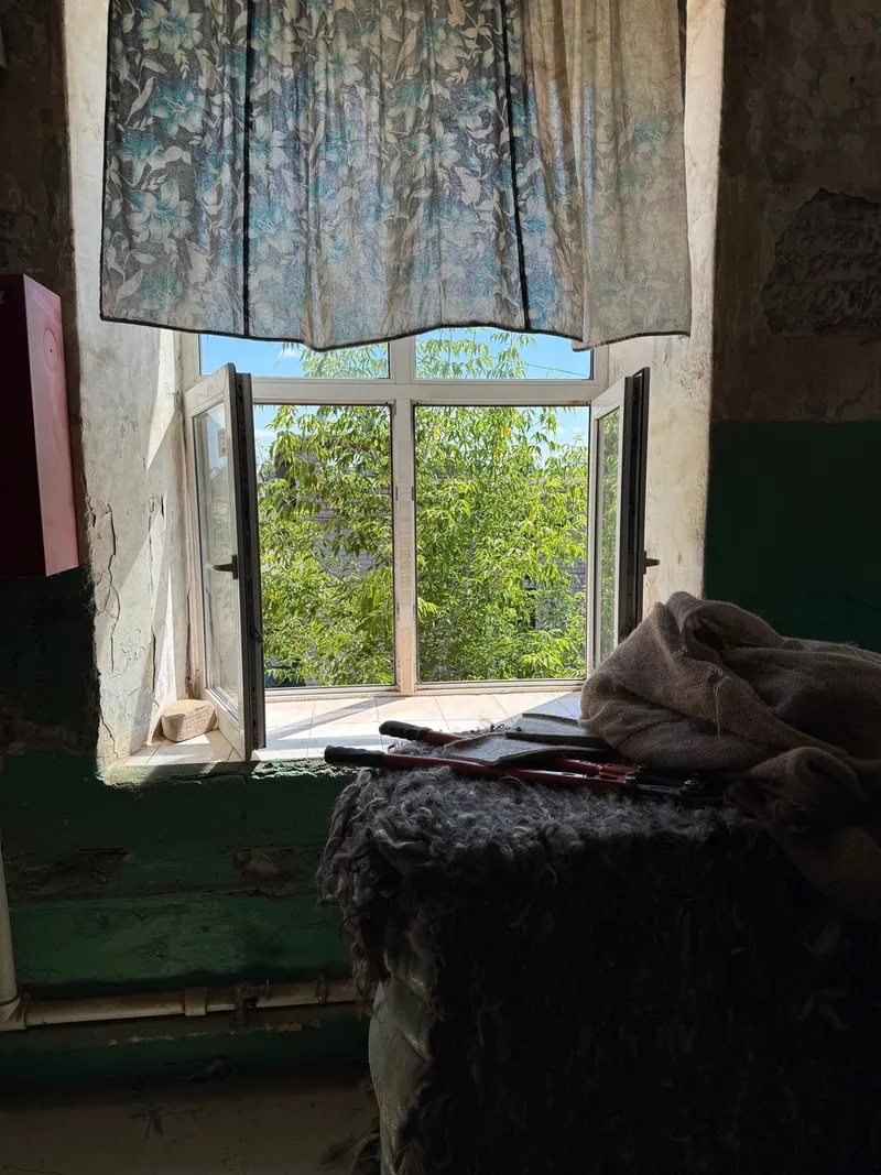 Анастасия