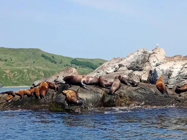 Аскольд и Путятина: в поисках морских легенд