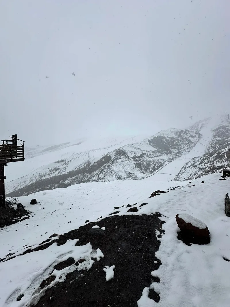 Букреева