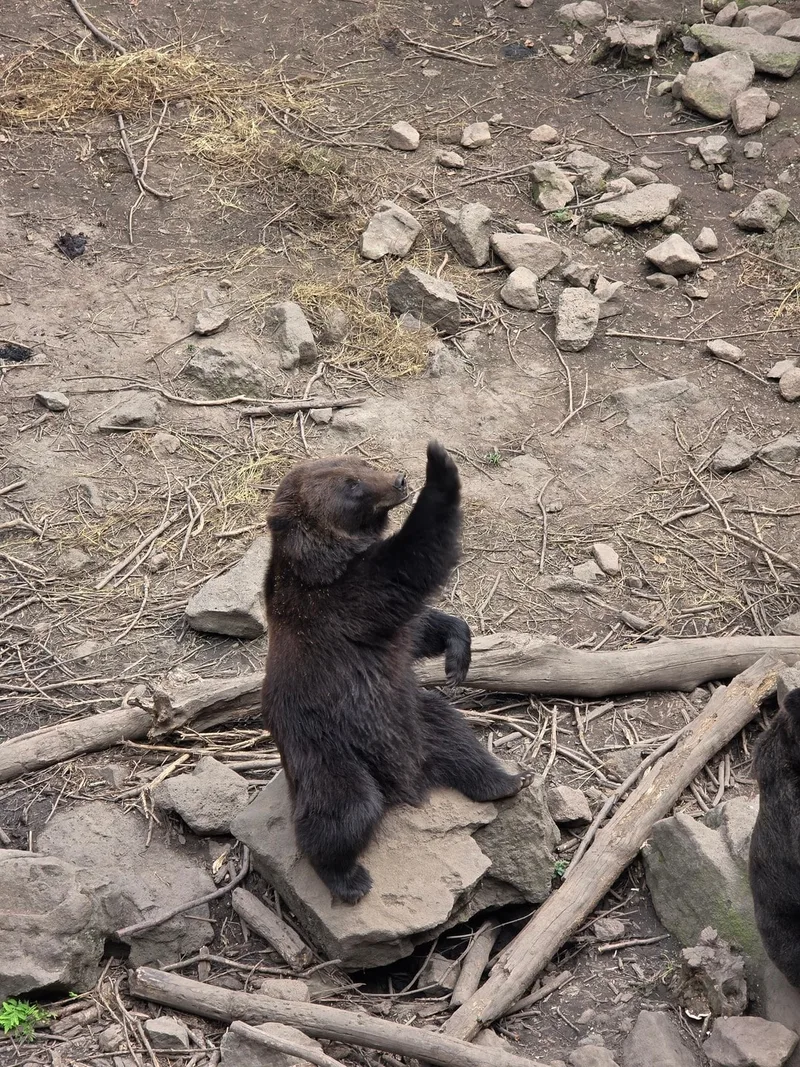 Анастасия