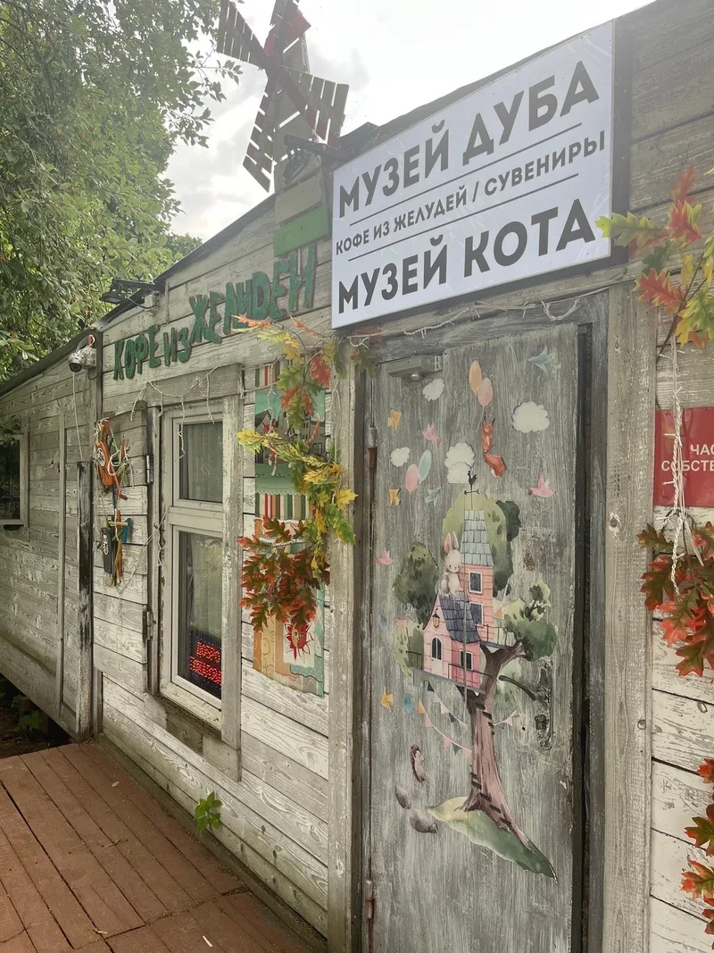 Маргарита