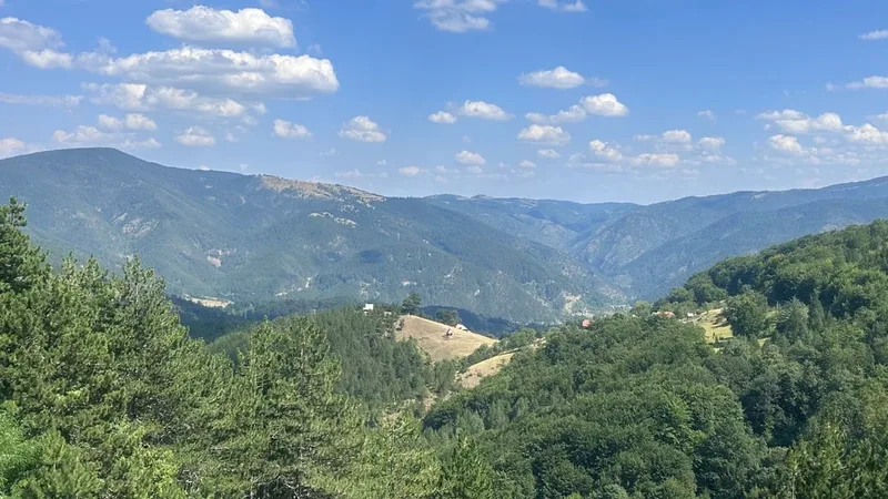 Zhamilya