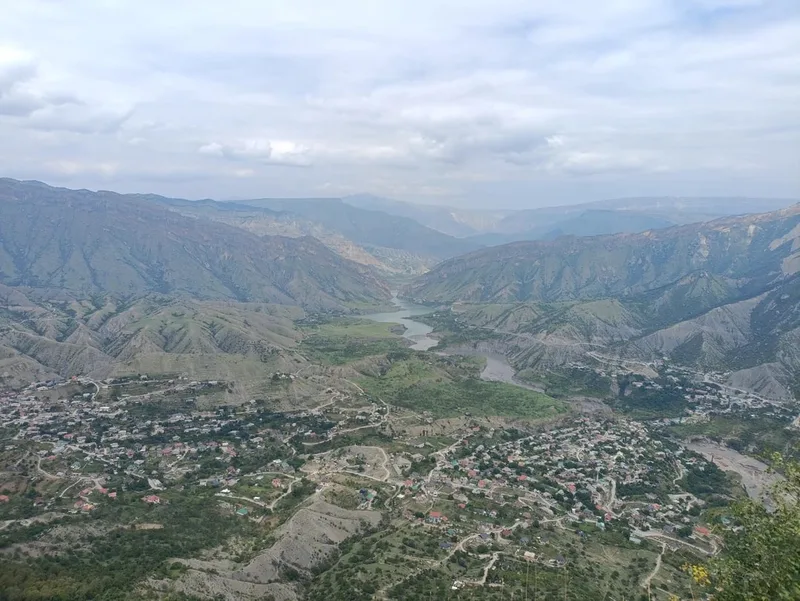 Вероника