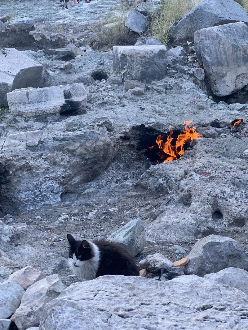 Наталья
