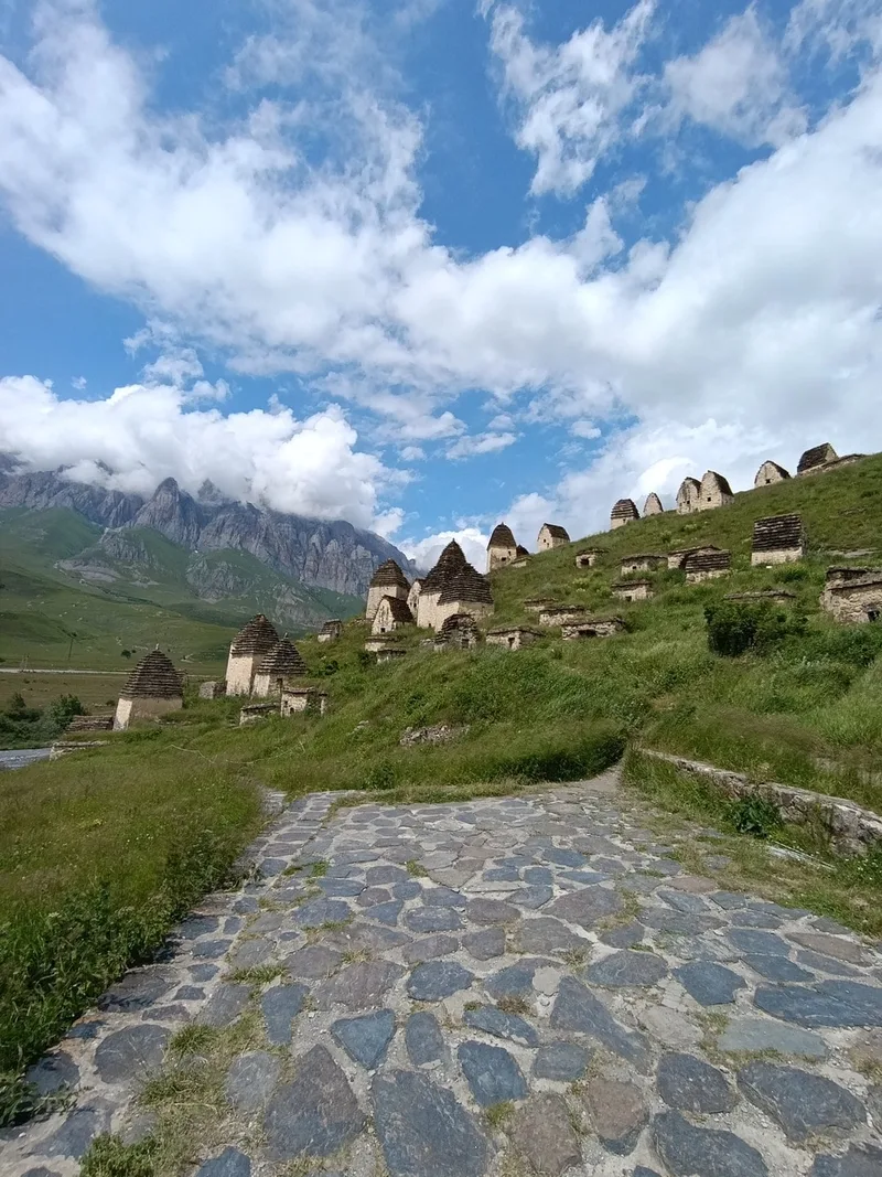 Алёна