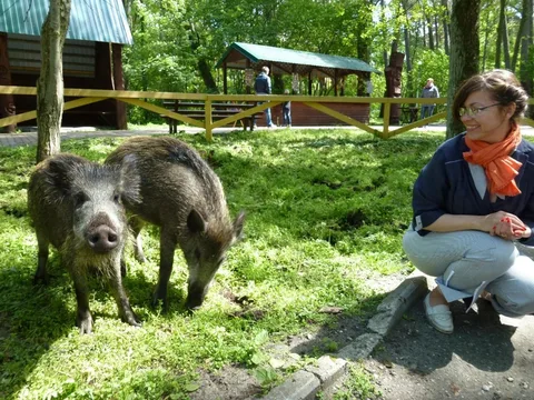 Куршская коса для детей и взрослых
