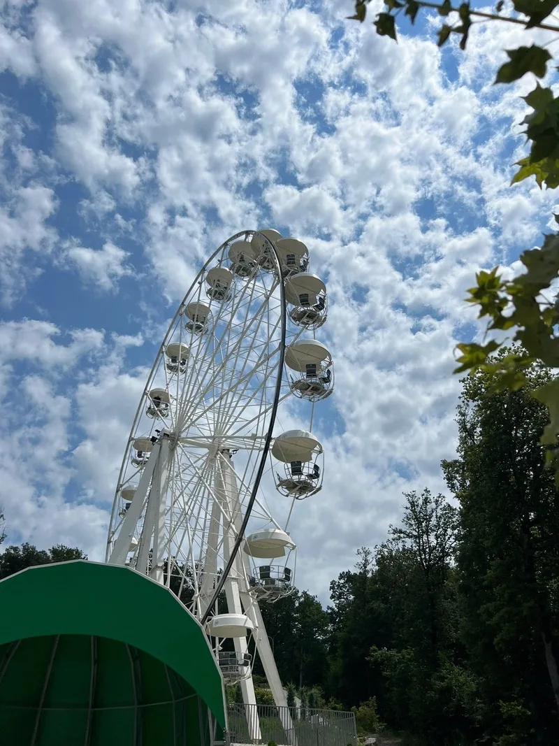 Полина