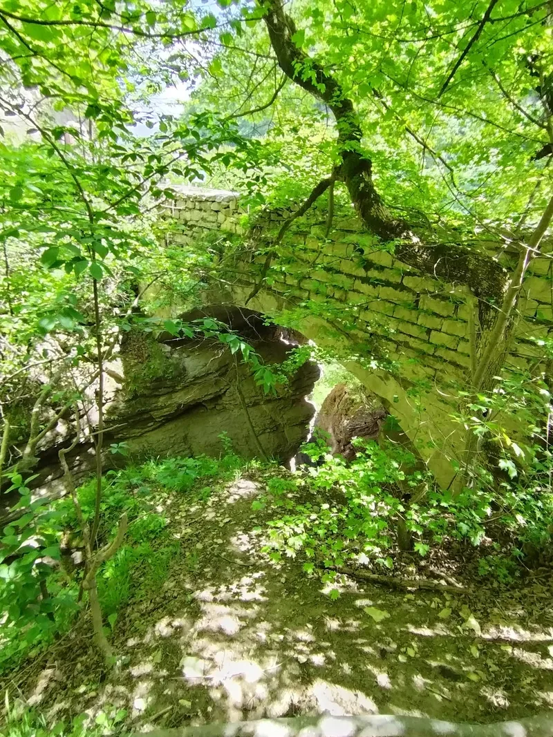 Виктория