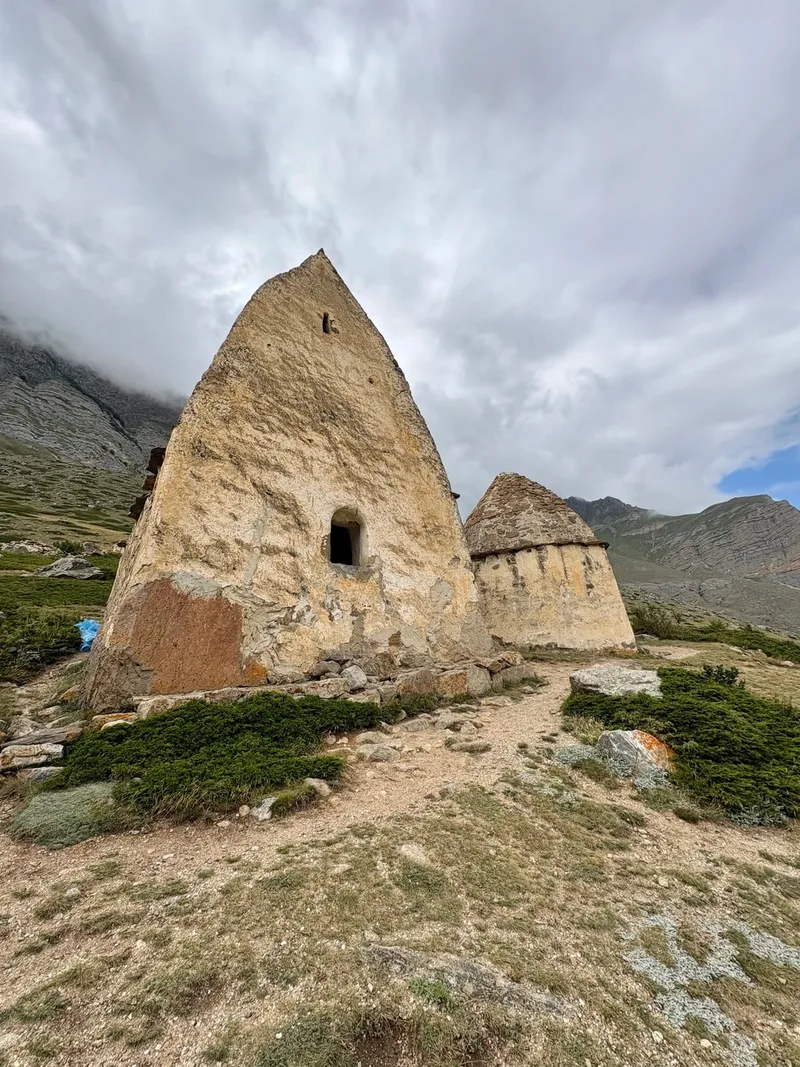 Маргарита