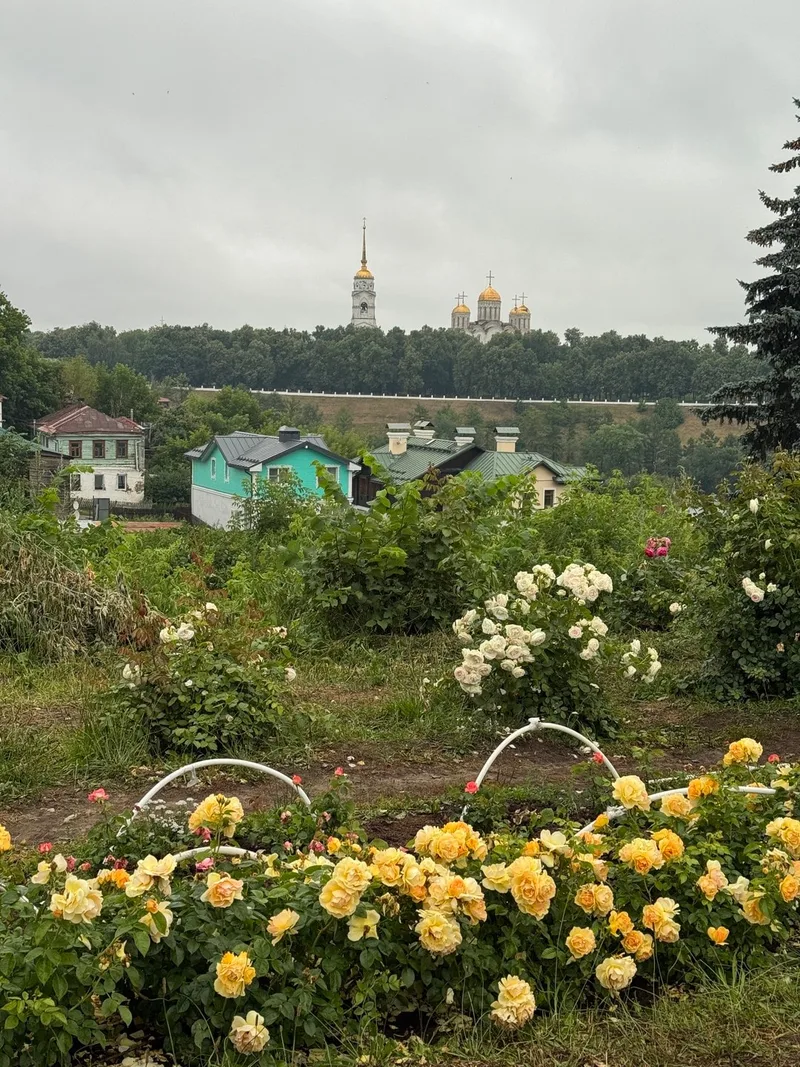 Татьяна
