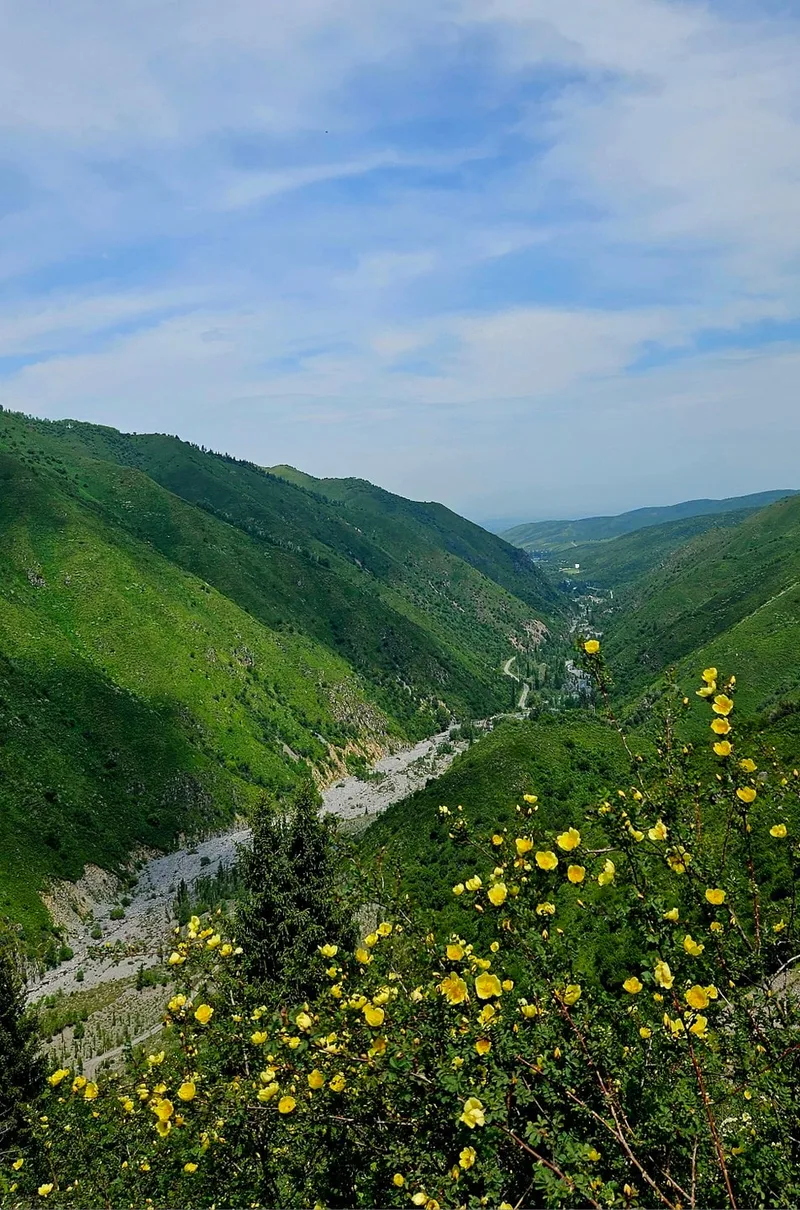 Наталья