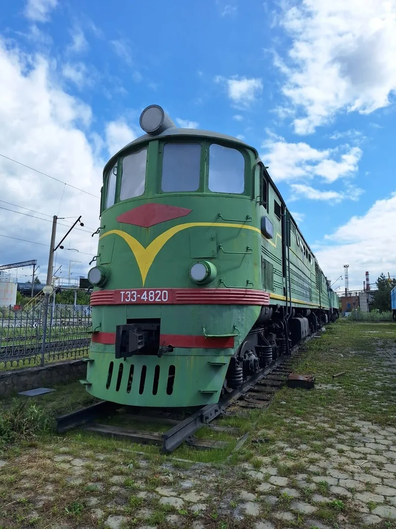 Светлана Николаевна