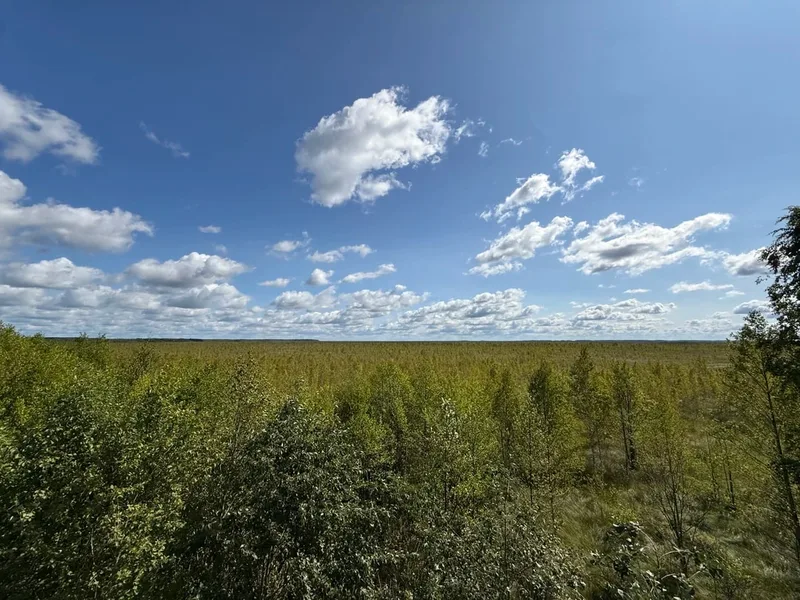 Всеволод