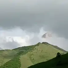 Мурат