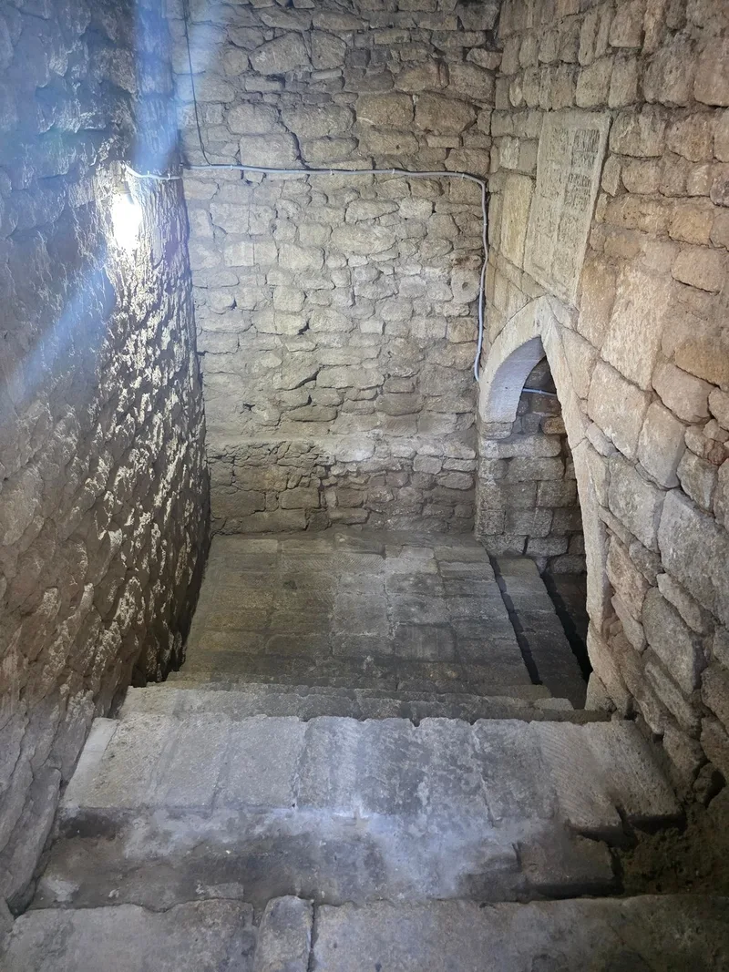 Алена