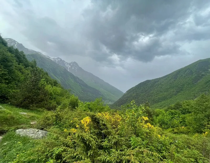 Александра