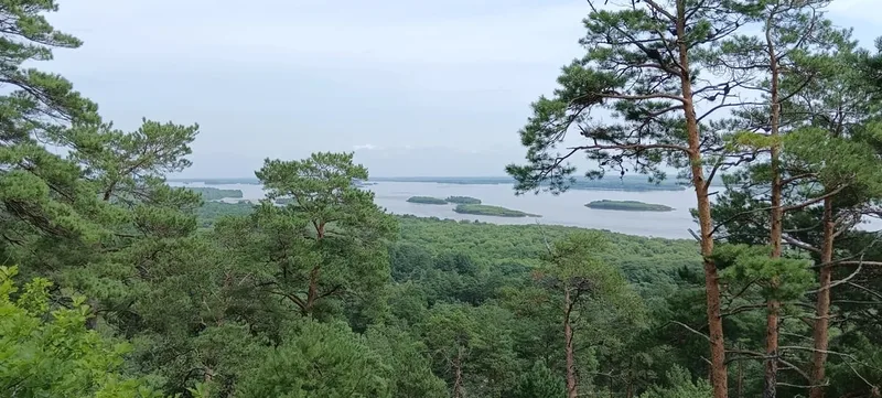 Илья