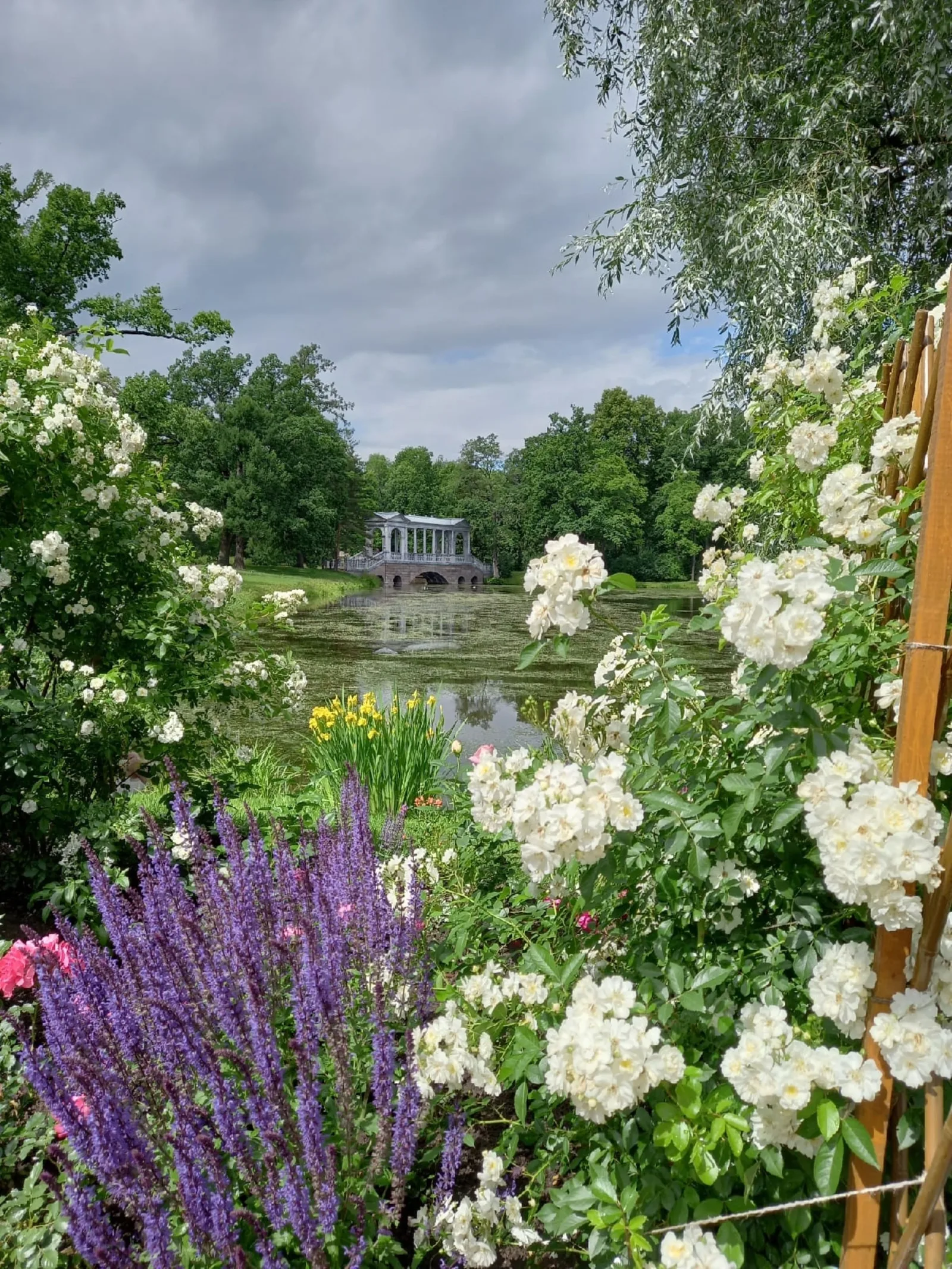 Из Петербурга — в Царское Село: Дворец, Парк и Лицей